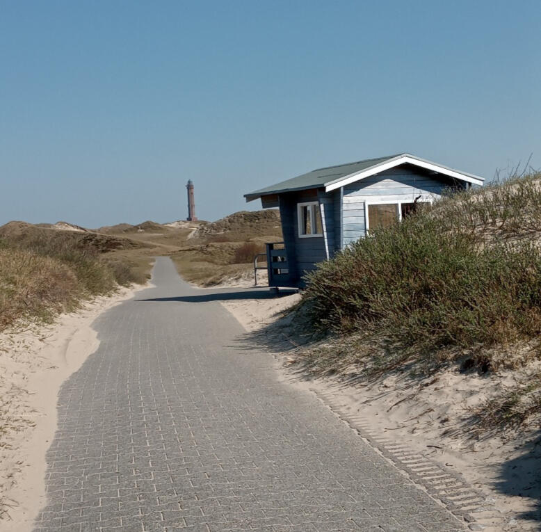 Weg durch die Dünen Weg durch die Dünen