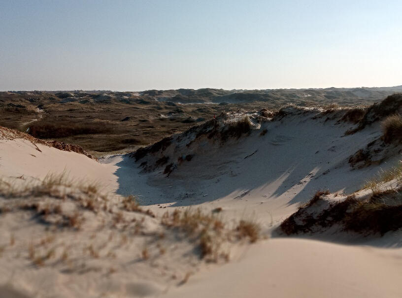 Dünenlandschaft